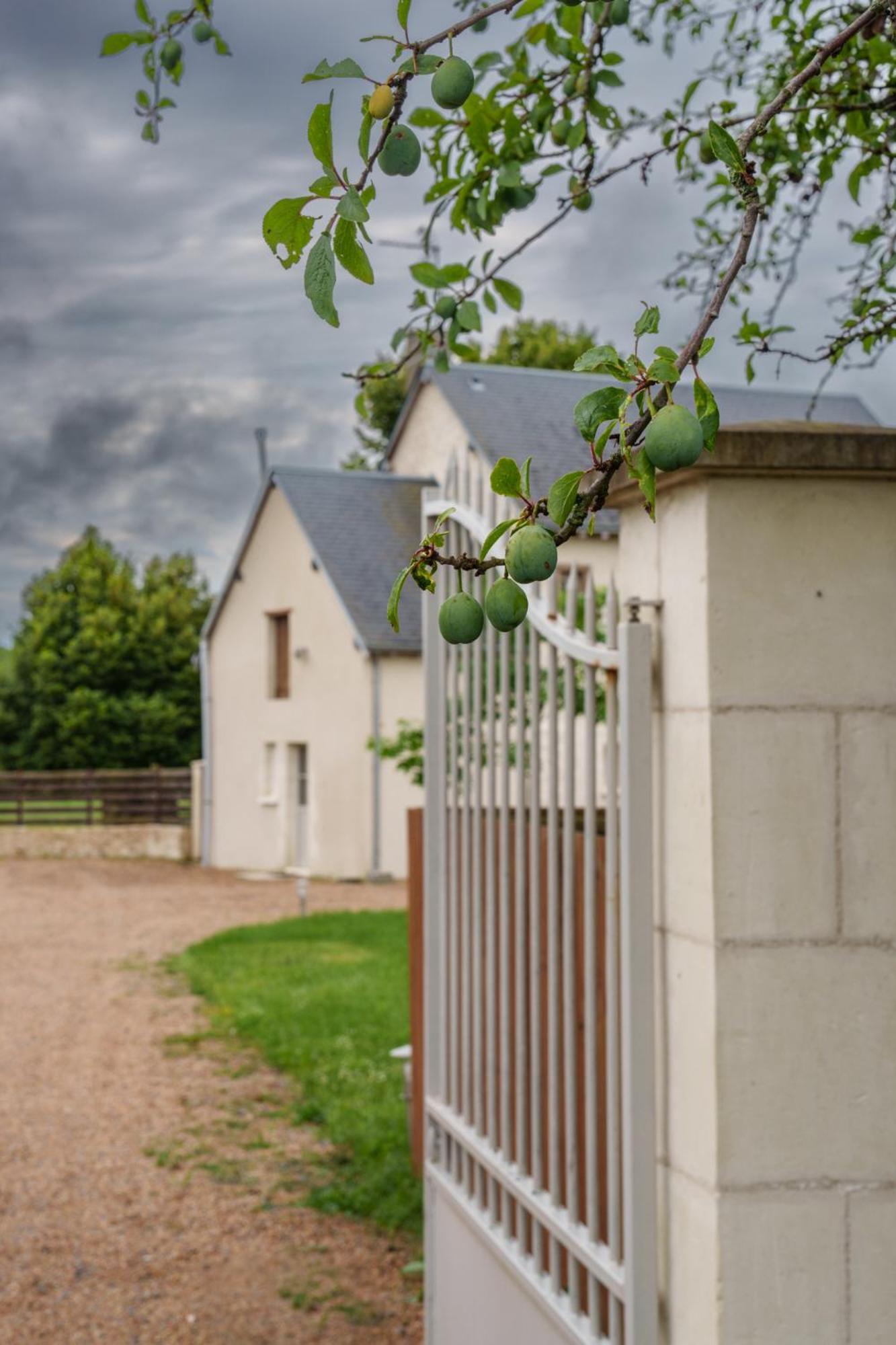 Maison Campagne Proche Tours Et Loches 6 Personnes Saint-Branchs Luaran gambar